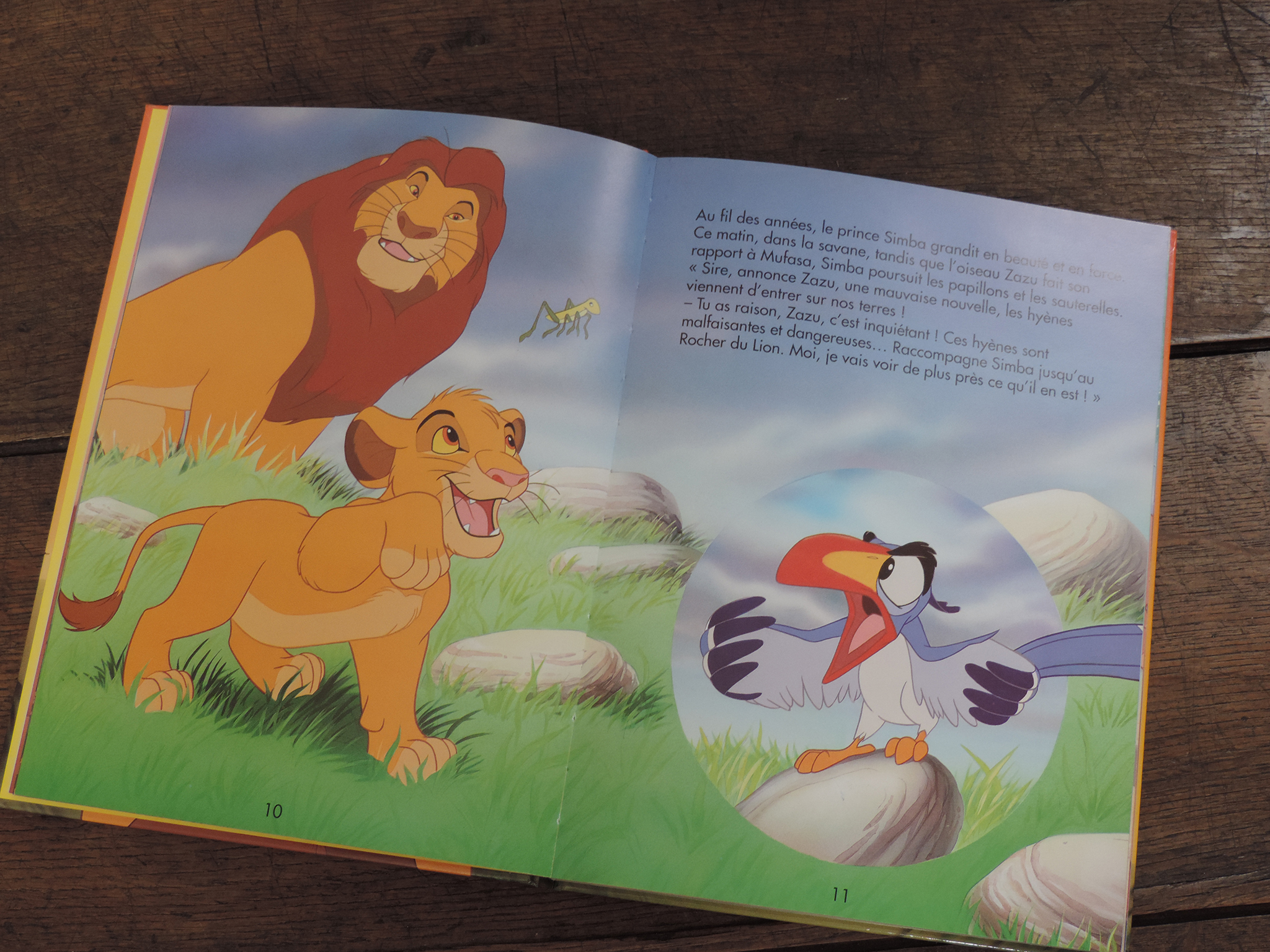 Le Roi Lion – Image 3