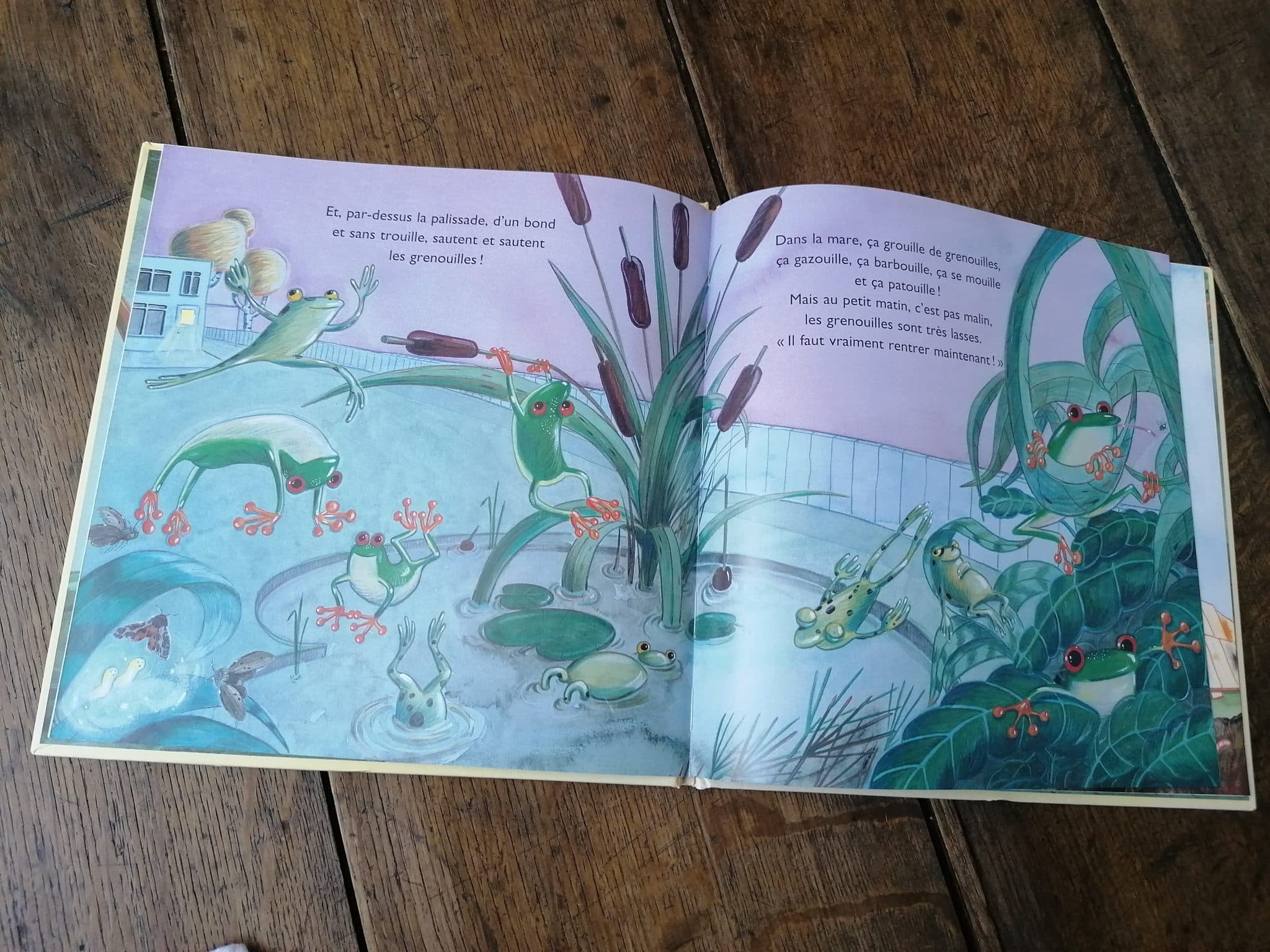 Brouille de grenouilles ! – Image 2