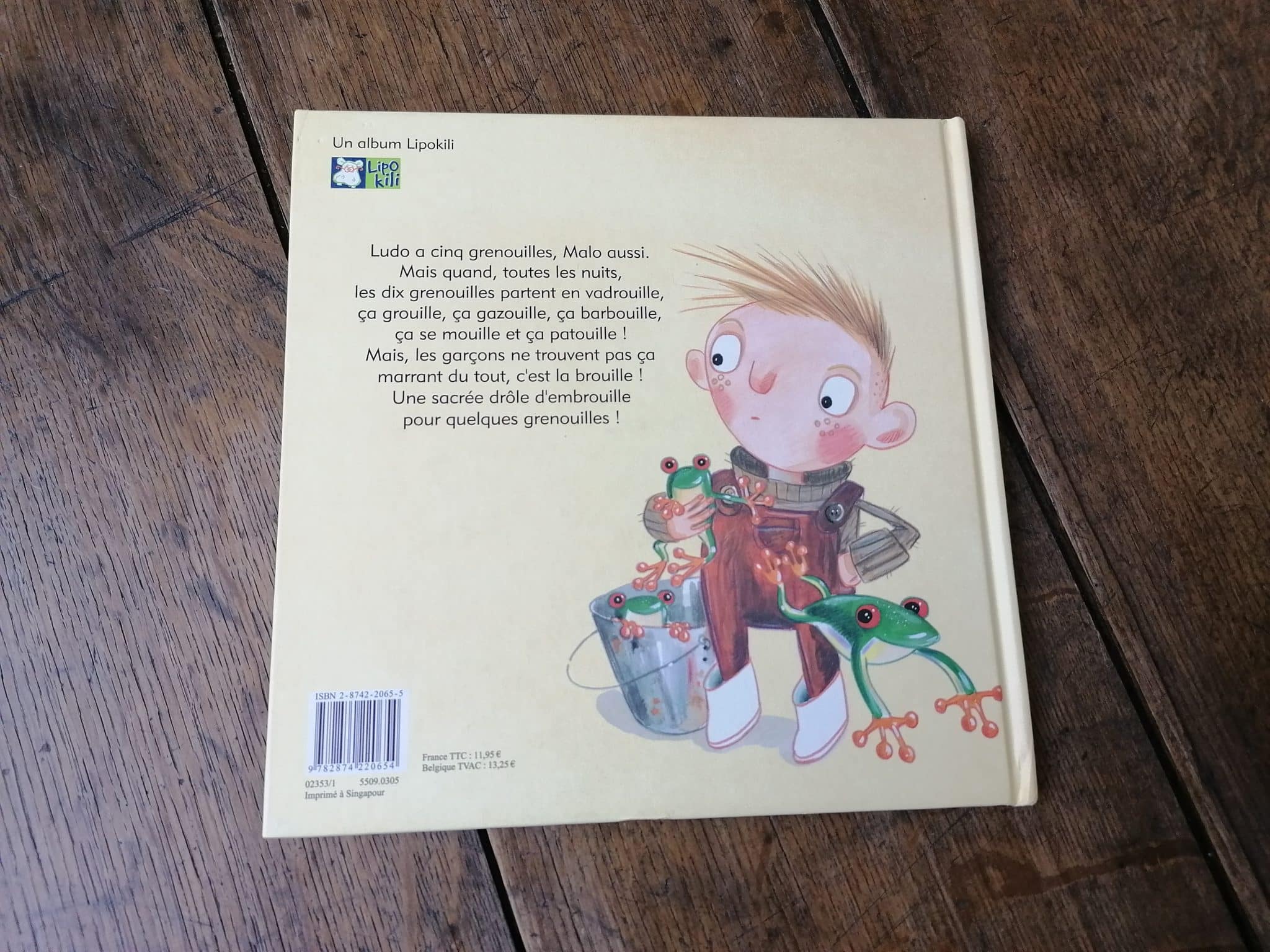 Brouille de grenouilles ! – Image 3