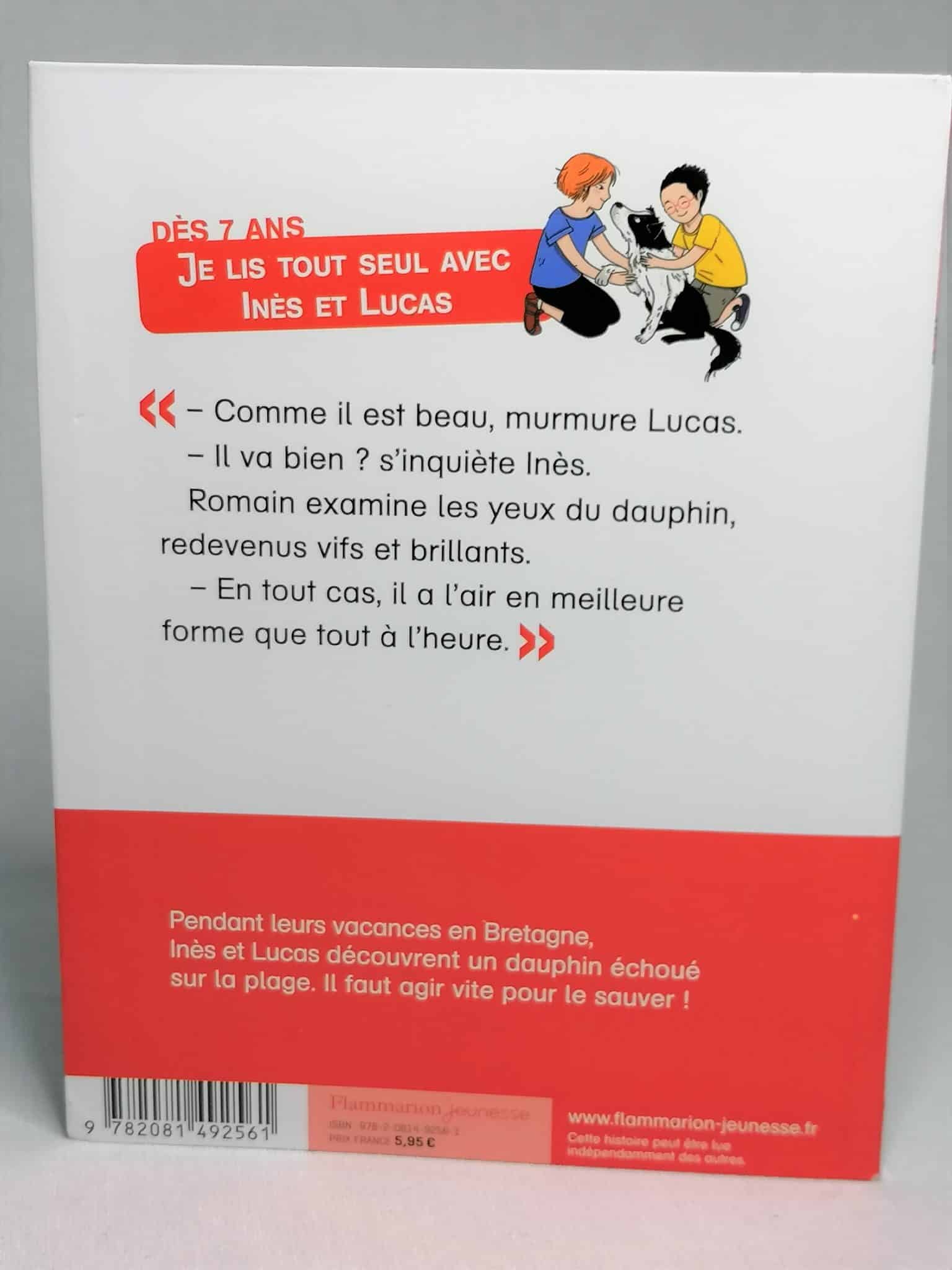 Mission vétos : un dauphin en détresse – Image 3