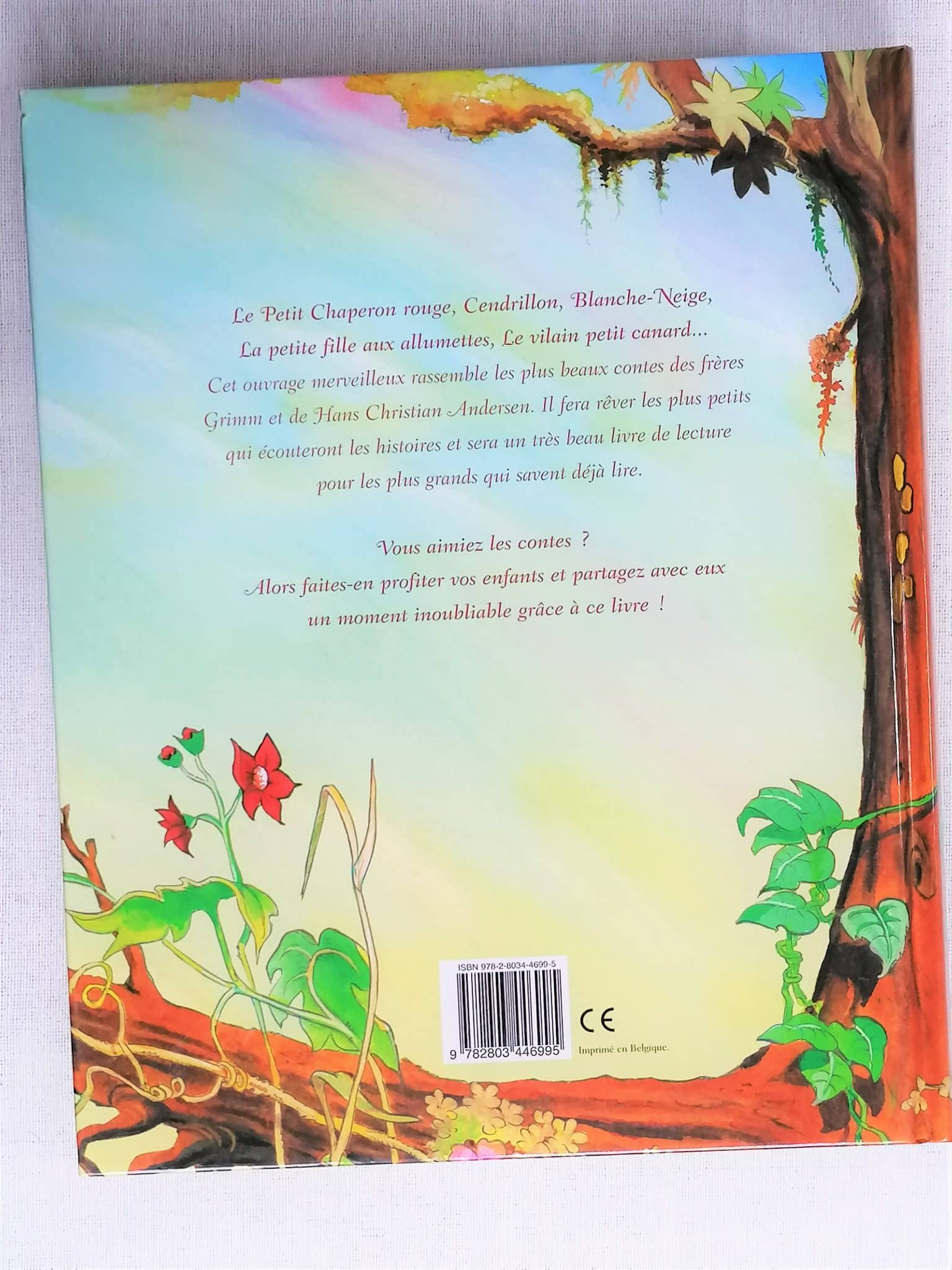 L'univers merveilleux des contes de Grimm et d'Andersen – Image 3