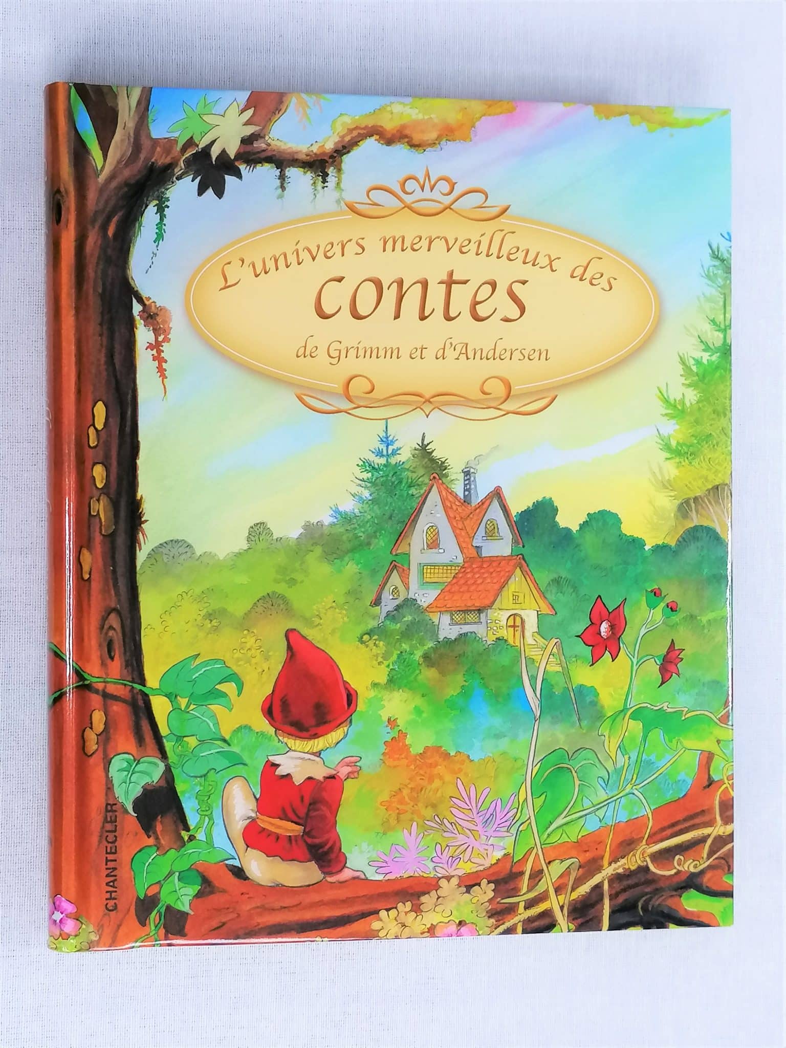 L'univers merveilleux des contes de Grimm et d'Andersen